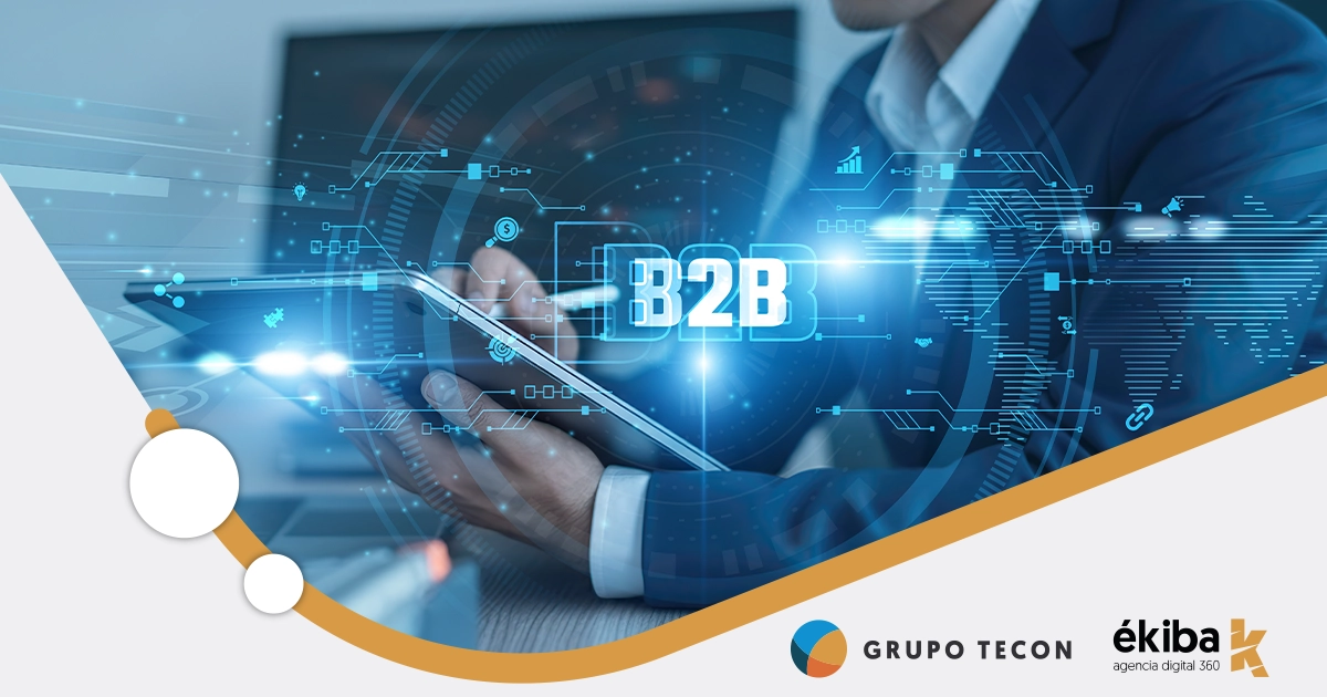 portal b2b