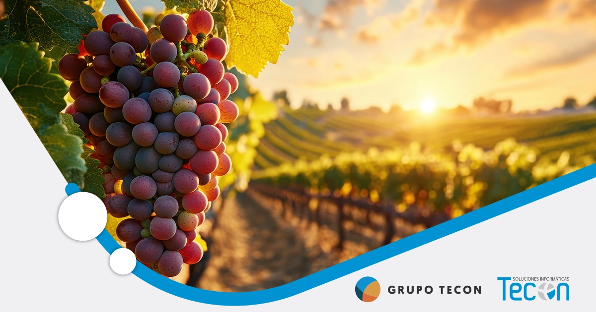 Gelibo la nueva normativa